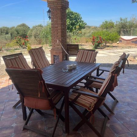 Villa Coino Cártama Dış mekan fotoğraf